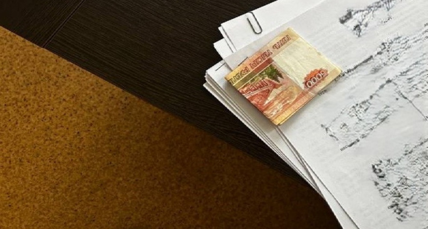 Иностранец попытался дать взятку инспектору ГАИ в Кольчугине за получение липовых прав