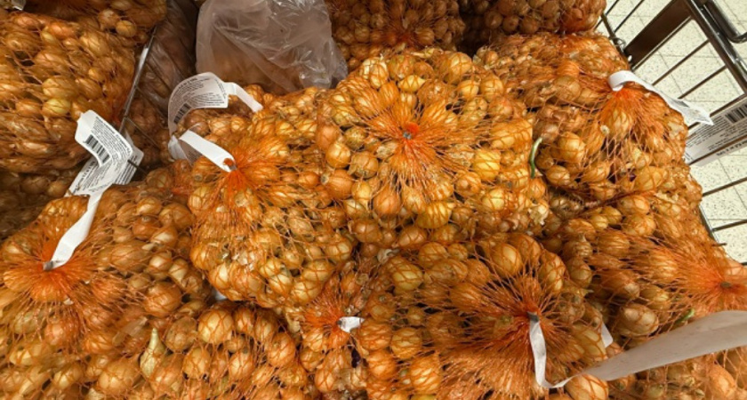 Какие удобрения применяю для посадки севка под зиму: лук успешно переносит морозы и быстро стартует весной