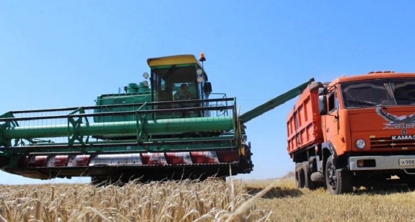 Во Владимирской области урожайность зерновых значительно превышает прошлогоднюю