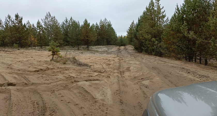 В "Клязьминско-Лухском" заказнике обнаружили следы диких животных