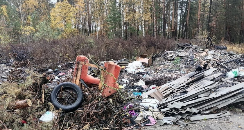Пять свалок обнаружили около села в Селивановском районе