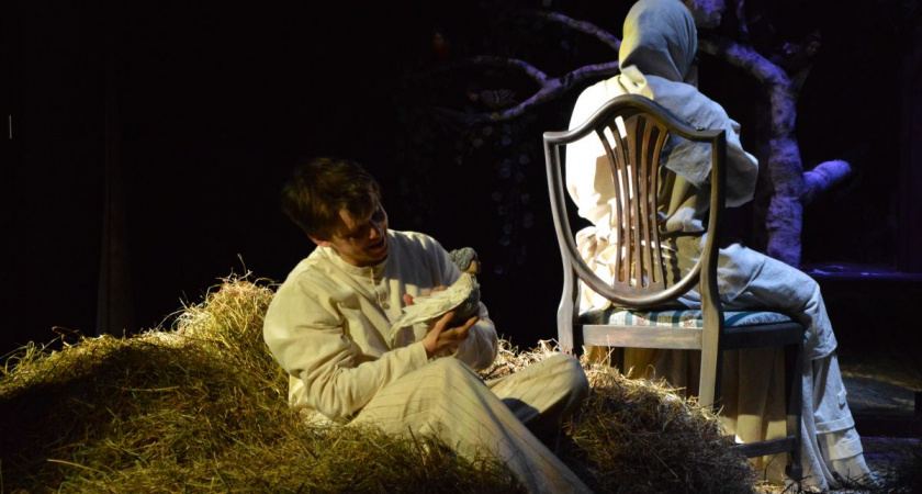 Проект «Единой России» «Культура малой Родины» поддержал театральные премьеры владимирских актеров