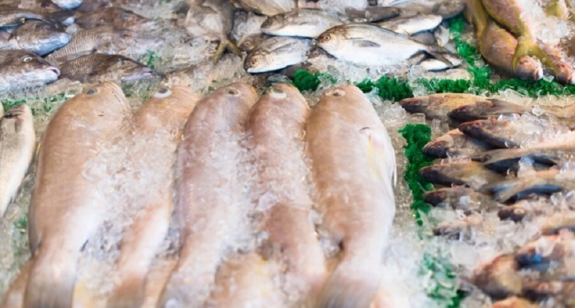 На какие вещи стоит обращать внимание при выборе самой полезной рыбы - запомните эти ценные советы