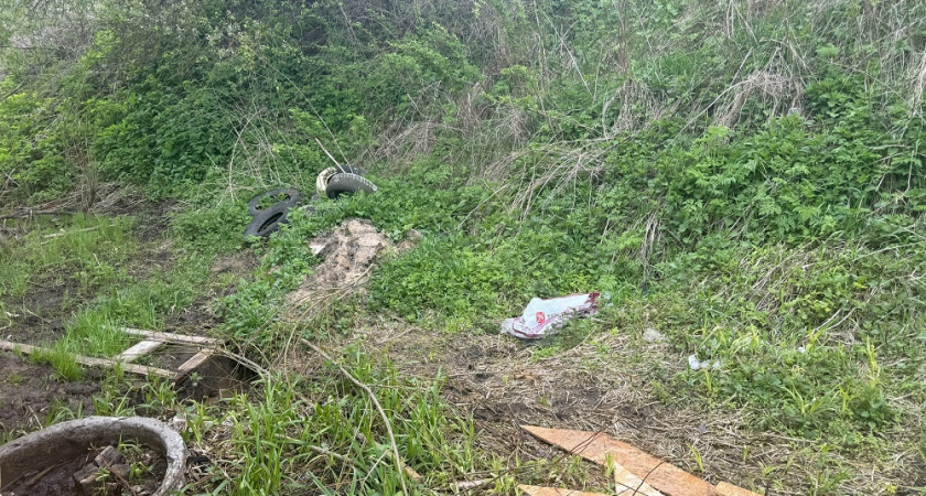 Бастрыкин вмешался в ситуацию с незаконной свалкой во Владимирской области