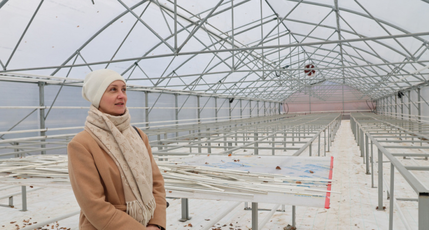 От саженца до клумбы: во Владимире достраивается еще одна муниципальная теплица