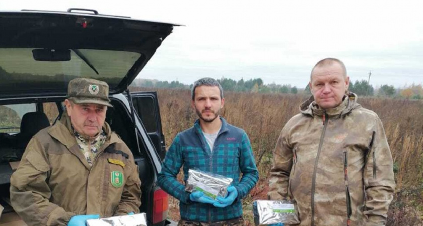 Во Владимирской области диких животных прививают от опасной болезни