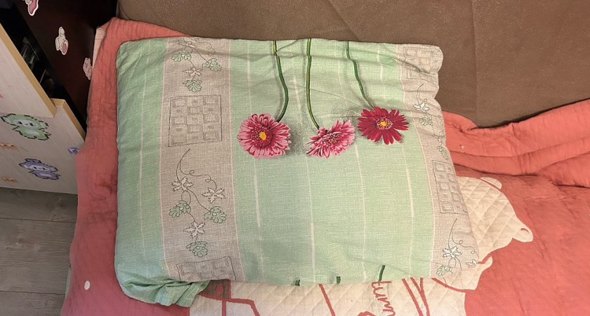 Я не верила, что можно оживить старую подушку — но за 40 минут вернула ей свежесть и сэкономила деньги