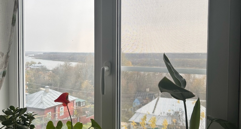 Как я за 40 минут удалила присохшую плёнку с окон — без единой царапины