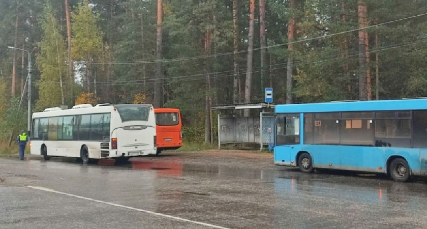 Во Владимире выявили 195 нарушений при проверке автобусов