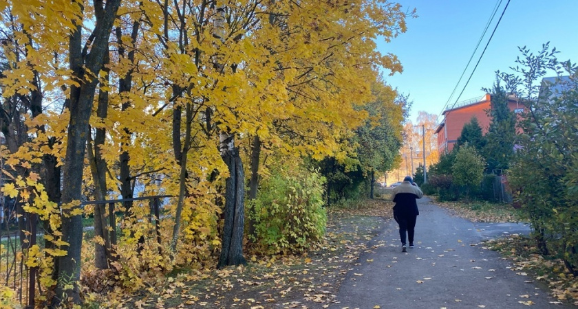 Метеочувствительные, готовьтесь к бурям: какие дни в конце октября будут самыми тяжёлыми?