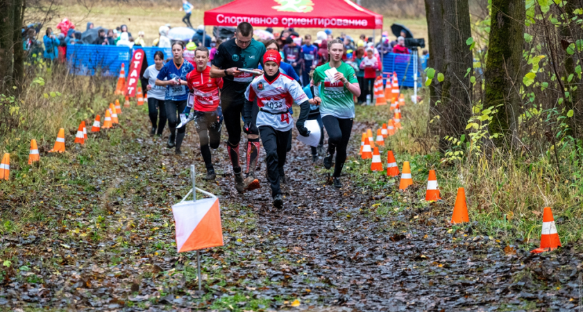 Владимирские спортсмены взяли 41 награду на домашнем турнире по ориентированию