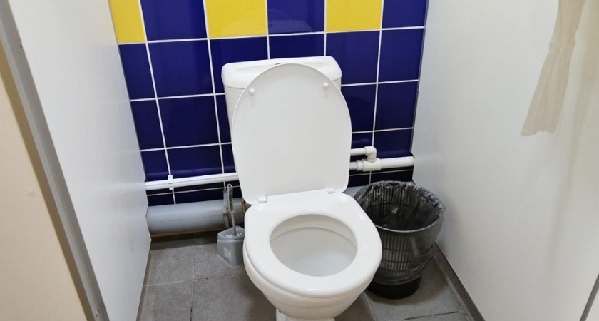 После одного случая я никогда не забываю закрывать крышку унитаза: объясняю причину