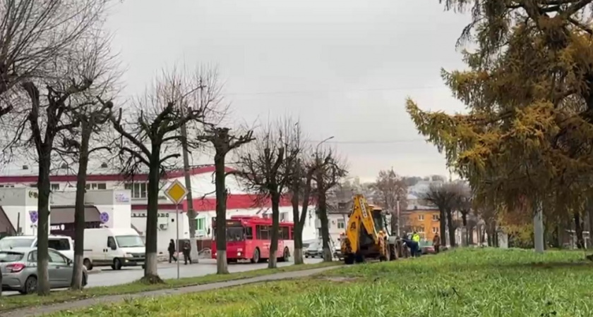 Во Владимире на улице Батурина высаживают новые деревья