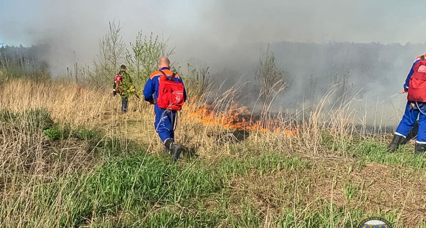 Чрезвычайными итогами года стали 527 палов травы и 26 утопленников