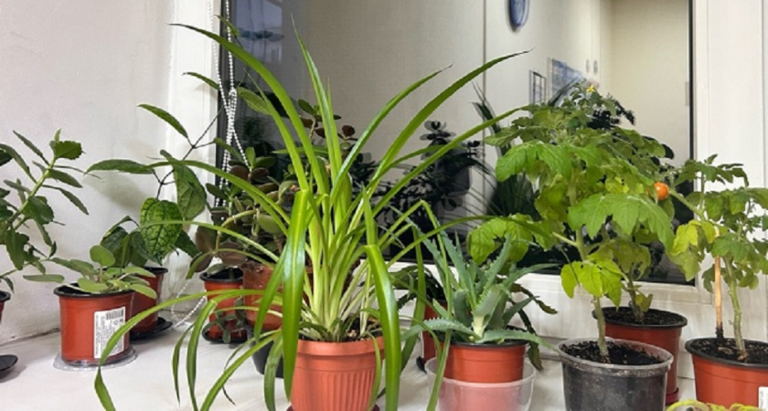 Как отмыть стекла и зеркала до блеска с помощью доступного домашнего средства