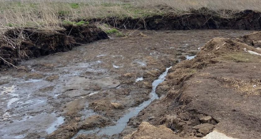 В реке Бакава после прорыва навозохранилища не осталось живой рыбы