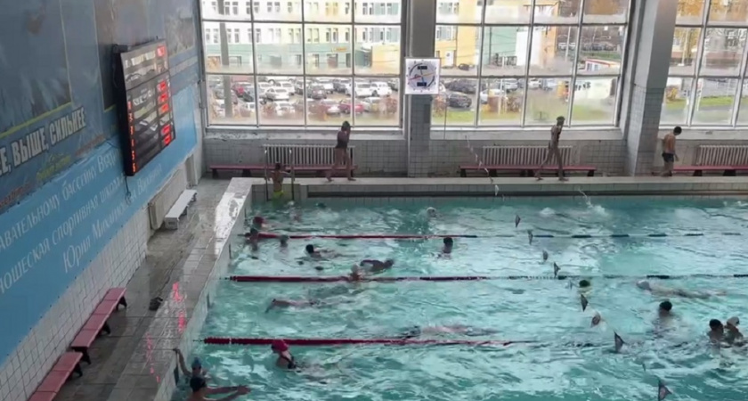 150 юных пловцов из трех городов области соревновались во Владимире