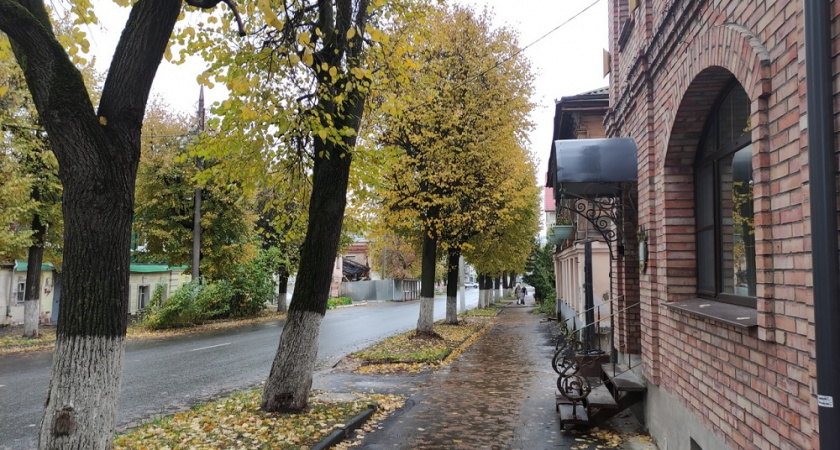 Теплый ноябрь в России: какие регионы ждут аномальные температуры - свежий прогноз Вильфанда