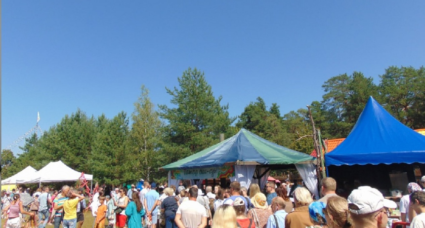 В День народного единства праздничные мероприятия пройдут в парках Владимира