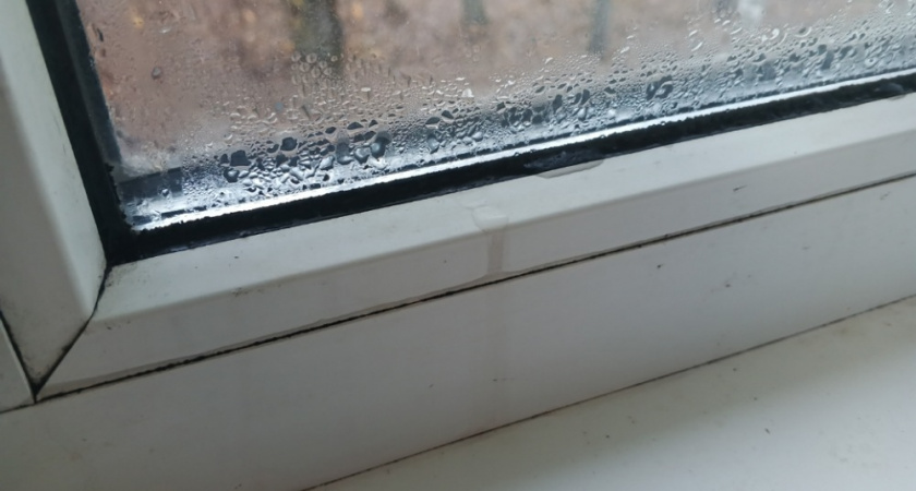 Черная плесень исчезнет навсегда: 5 простых способов избавиться от конденсата и грибка на окнах