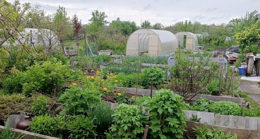  обязательно возьмите на заметку, чтобы урожай только радовал