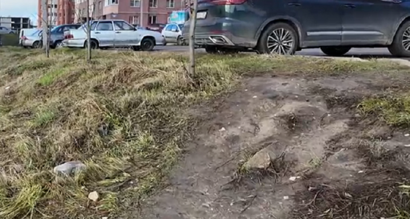 Активисты требуют от властей Владимира построить тротуар на Нижней Дуброве