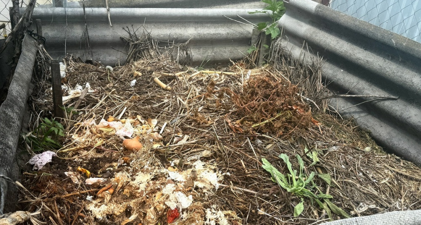 Осенняя хитрость с компостом: один полив перед морозами ускоряет созревание в разы