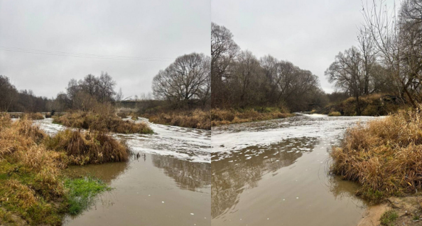 Владимирская природоохранная прокуратура разбирается с загрязнением реки Пекша