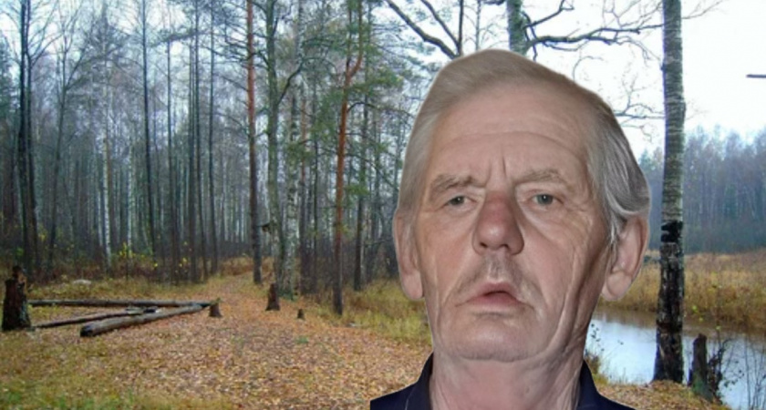 В Гусь-Хрустальном районе ищут пропавшего в лесу пенсионера