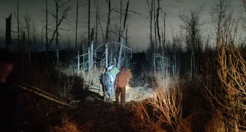 Тело мужчины обнаружили на болоте во Владимирской области