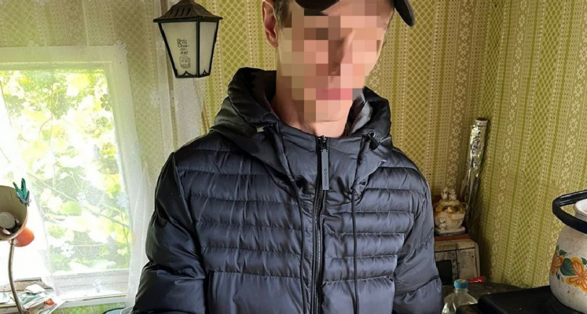 Ковровчанин превратил дачную теплицу в плантацию "запрещенки"