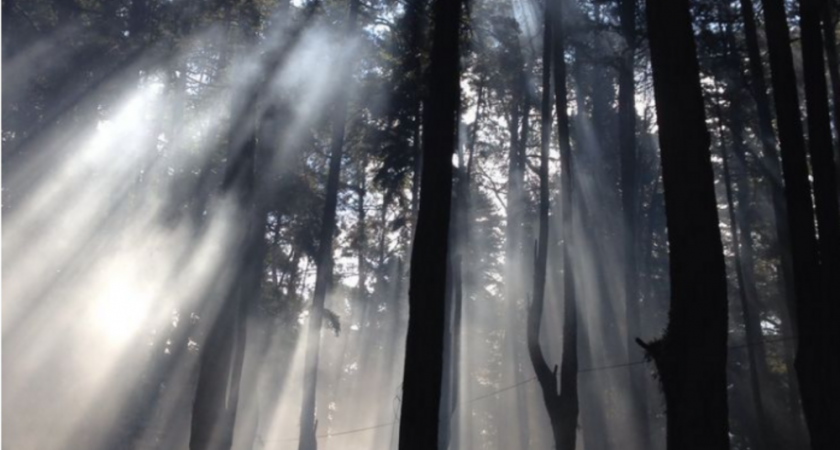 Александр Быстрыкин потребовал отчет по делу о гибели владимирского подростка 