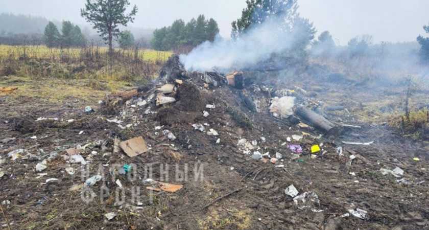 Жители Гусь-Хрустального района пожаловались на сжигание мусора возле деревень