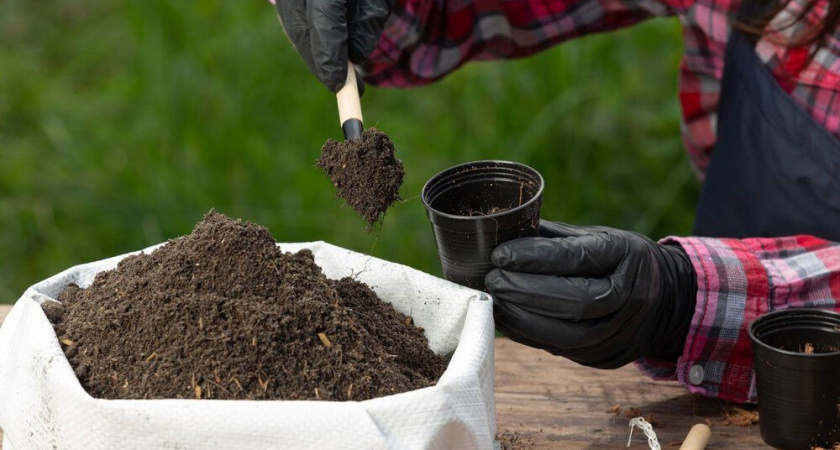 Компост за сезон: как я готовлю удобрение в обычных мешках для мусора