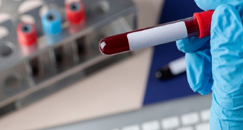 Что на самом деле означает ваша группа крови и почему её важно знать: разбираем все мифы и правду