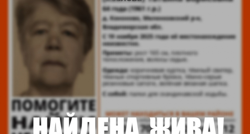 В Меленсковском районе завершились поиски пропавшей пенсионерки