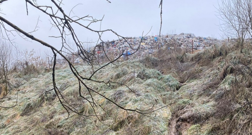 В Камешковском районе токсичные стоки утекли за пределы мусорного полигона
