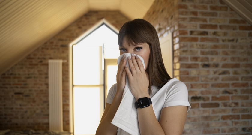 Рай для плесени: 5 вещей, которые нужно выбросить уже сегодня