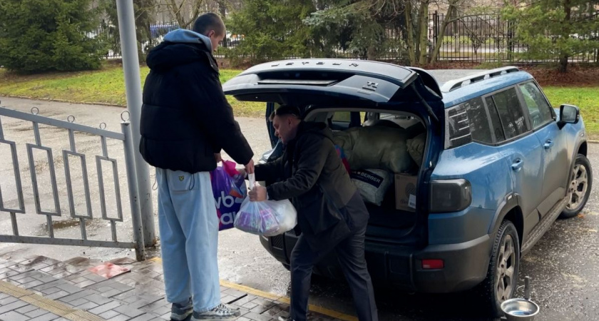 «Единая Россия» и студенты — в помощь животным Курска