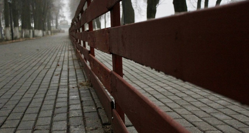 В парке имени Пушкина во Владимире полностью поставили коробку для катка