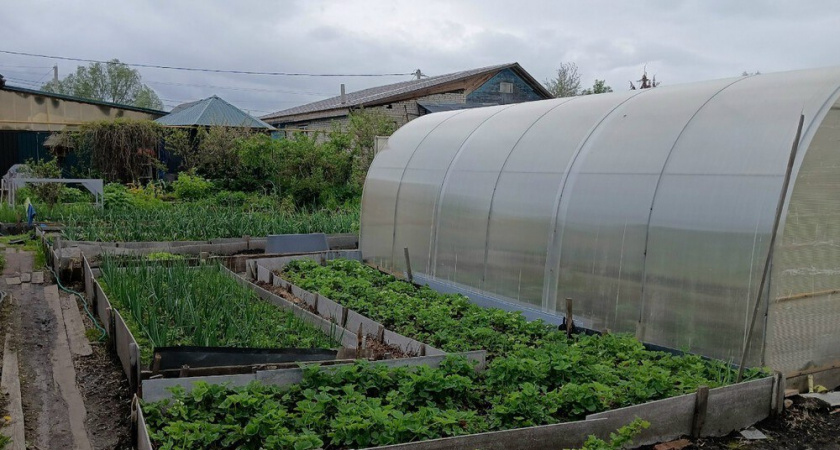 Как защитить теплицу от снега зимой: 5 правил, которые спасут конструкцию