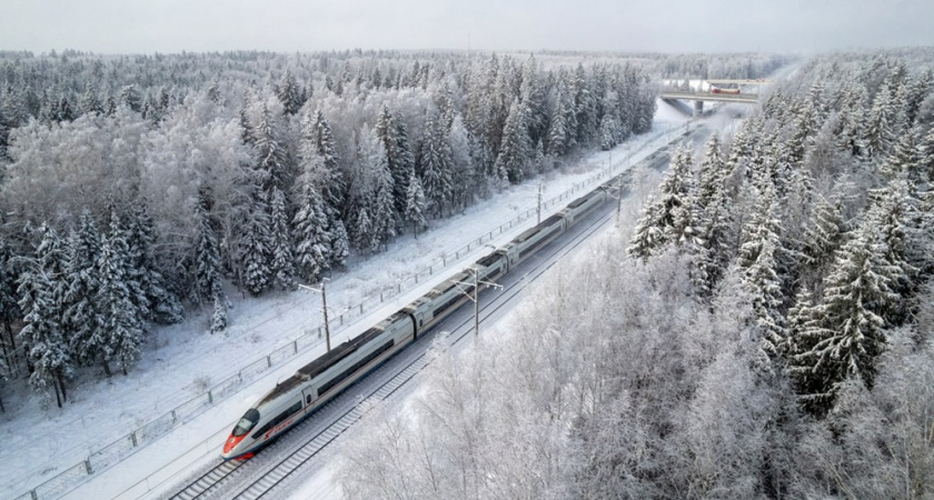Владимирцы смогут приобрести билеты на «Сапсан» по фиксированным ценам