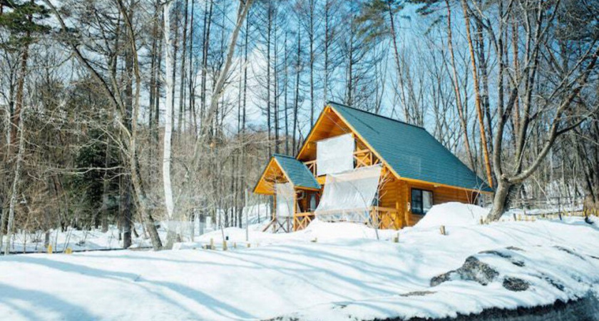 Правила обрезки старых плодовых деревьев, чтобы собрать богатый урожай без лестницы: лайфхак опытного садовника