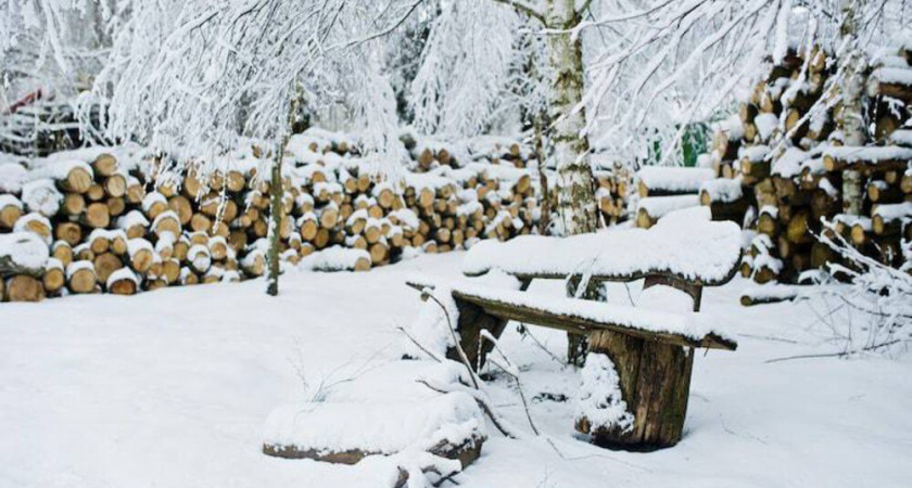 От заточки до борьбы с ржавчиной: простой зимний ремонт садового инструмента своими руками