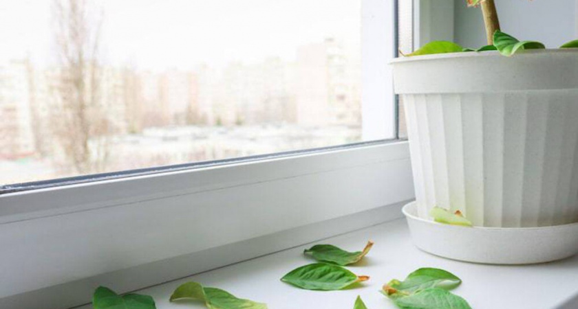 Как я отбелила пожелтевший пластиковый подоконник за 5 минут: помогло всего одно средство из ванной