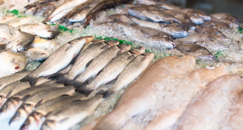 В какой рыбе водятся паразиты: что нужно знать, покупая продукт для семьи