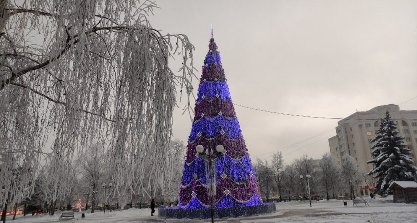 Будет ли снег в новогодние праздники? Предварительный прогноз синоптиков 