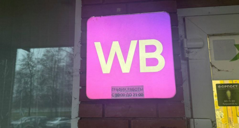 14 небанальных новогодних подарков с Wildberries: варианты, которые понравятся и детям, и взрослым