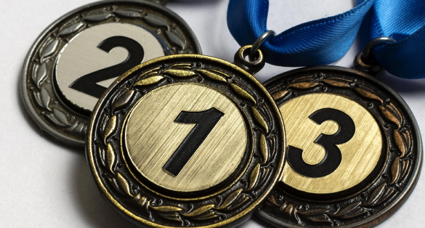 Владимирские борцы завоевали «золото» и «серебро» на турнире имени Дмитрия Тимофеева