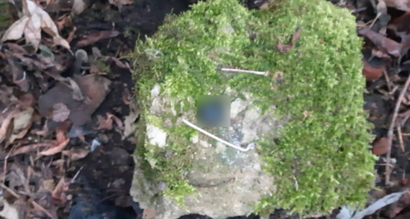 Во Владимире у 17-летнего студента нашли 27 грамм «запрещёнки»